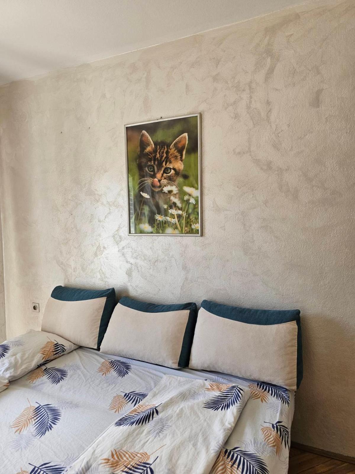 Ab Apartmani Risan Kotor Exterior foto